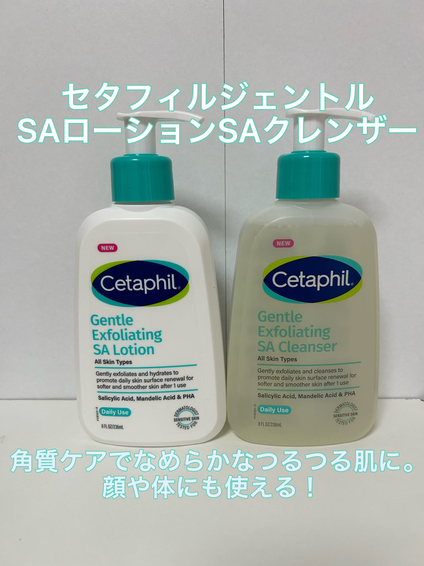 ã»ã¿ãã£ã«ããžã§ã³ãã«SAã¯ã¬ã³ã¶ãŒ/ã»ã¿ãã£ã«/ããŒãªã³ã°ã䜿ã£ãã¯ãã³ãïŒ1æç®ïŒ