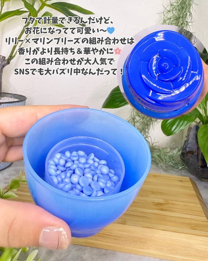 アフューム リリー ランドリーボール/王子製薬/洗濯洗剤を使ったクチコミ(8枚目)