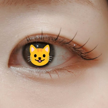 ミッシュブルーミン アイラッシュ インフィニティライン/ミッシュブルーミン/つけまつげを使ったクチコミ(4枚目)