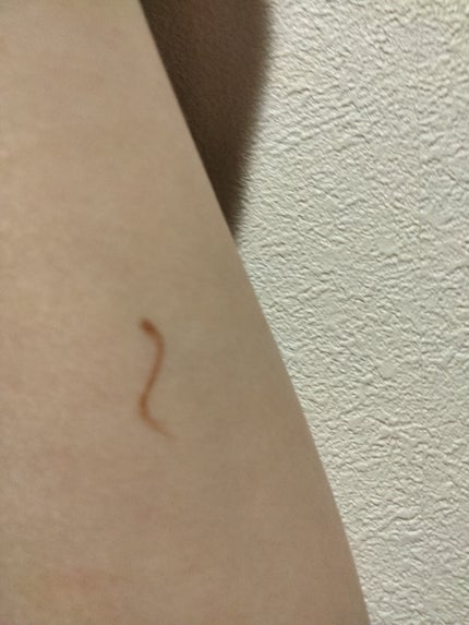 クリーミータッチライナー/キャンメイク/ジェルアイライナーを使ったクチコミ(2枚目)