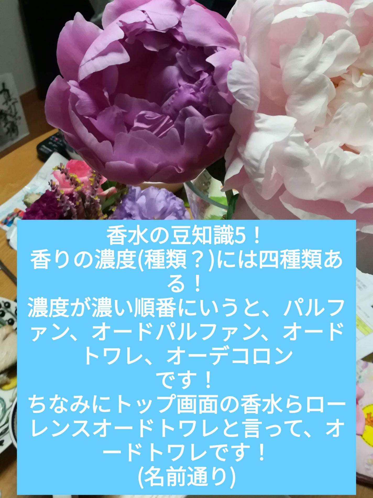 ロウレンス オードトワレ マベルフルール/ロウレンス /香水(レディース)を使ったクチコミ(5枚目)