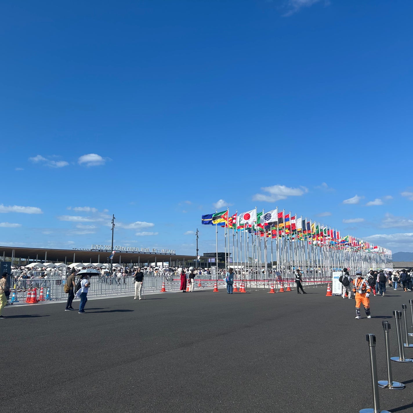 ヴィーガナリー マルチビタミン&ビューティー/ダルバ/美容サプリメントを使ったクチコミ(8枚目)