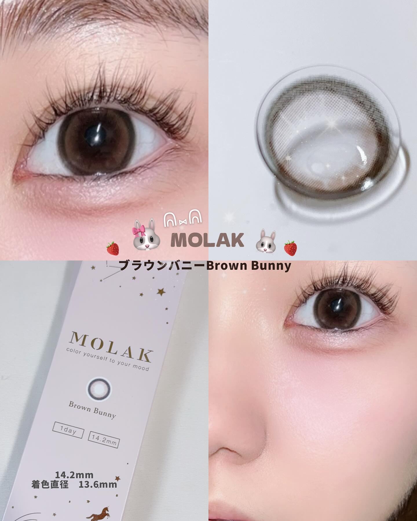 MOLAK 1day ブラウンバニー/MOLAK/ワンデー（１DAY）カラコンを使ったクチコミ（1枚目）
