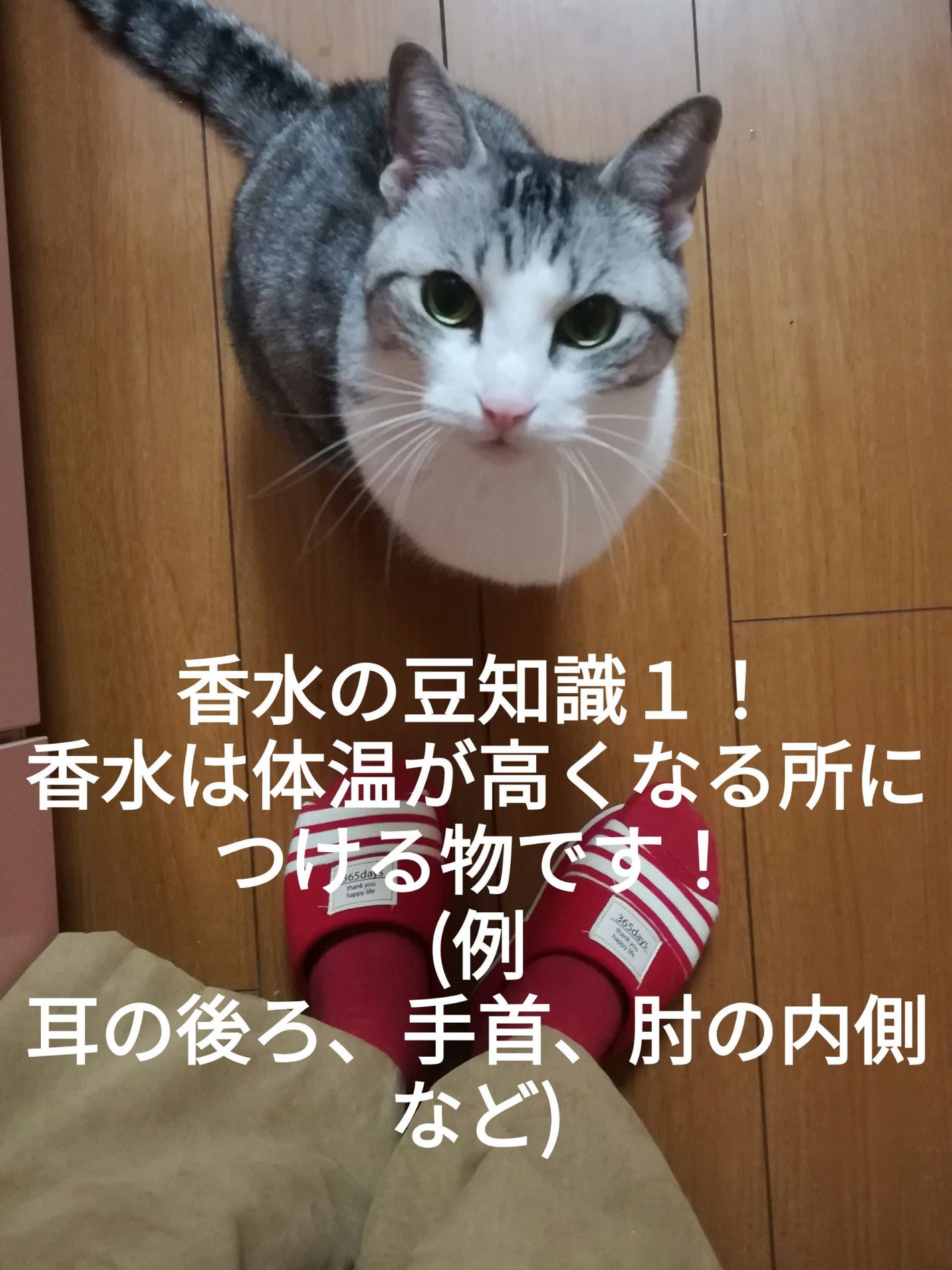 ロウレンス オードトワレ マベルフルール/ロウレンス /香水(レディース)を使ったクチコミ(2枚目)