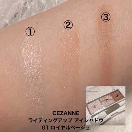 トーンアップアイシャドウ/CEZANNE/アイシャドウパレットを使ったクチコミ(5枚目)