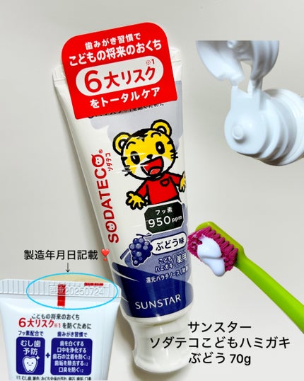 サンスター ソダテコこどもハミガキ ぶどうのクチコミ「❤︎サンスター/ソダテコこどもハミガキ ぶどう 70g
少し小さめサイズかな?
駄菓子のぶど.....」(1枚目)
