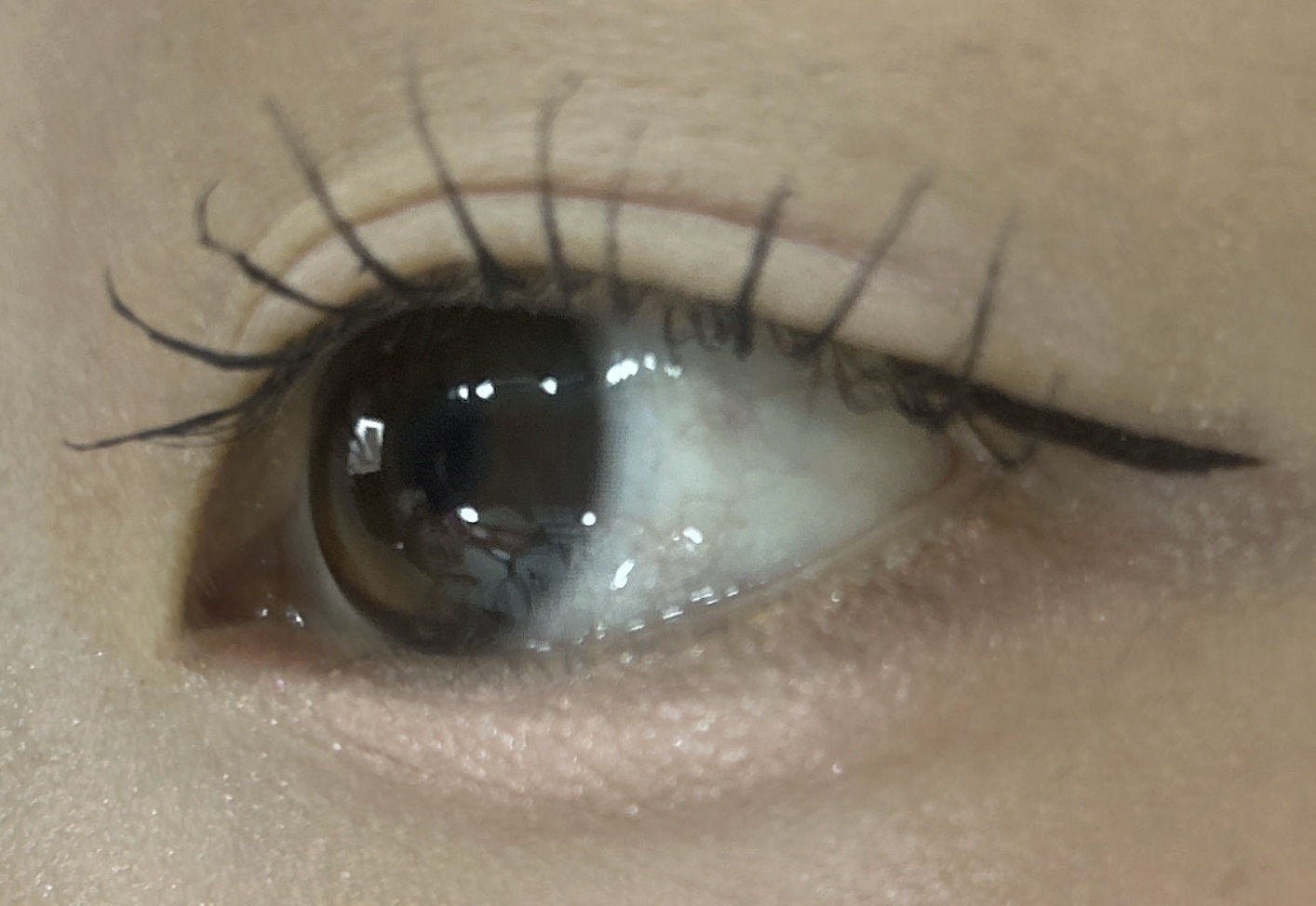 シアーコントラストアイズ/LUNASOL/アイシャドウパレットを使ったクチコミ（3枚目）