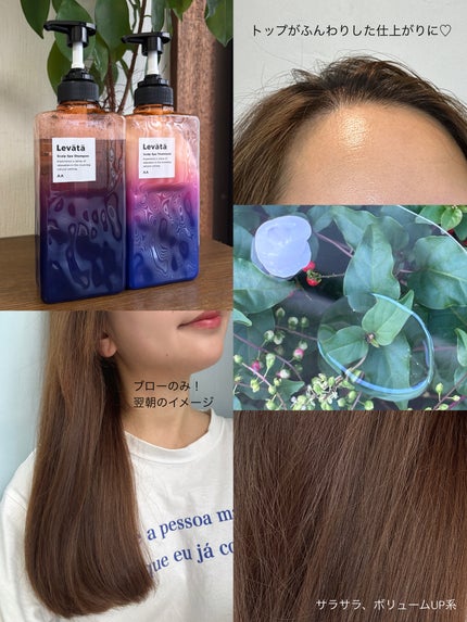 レバタ スカルプスパ シャンプー/トリートメント/Levätä/市販シャンプーを使ったクチコミ(5枚目)