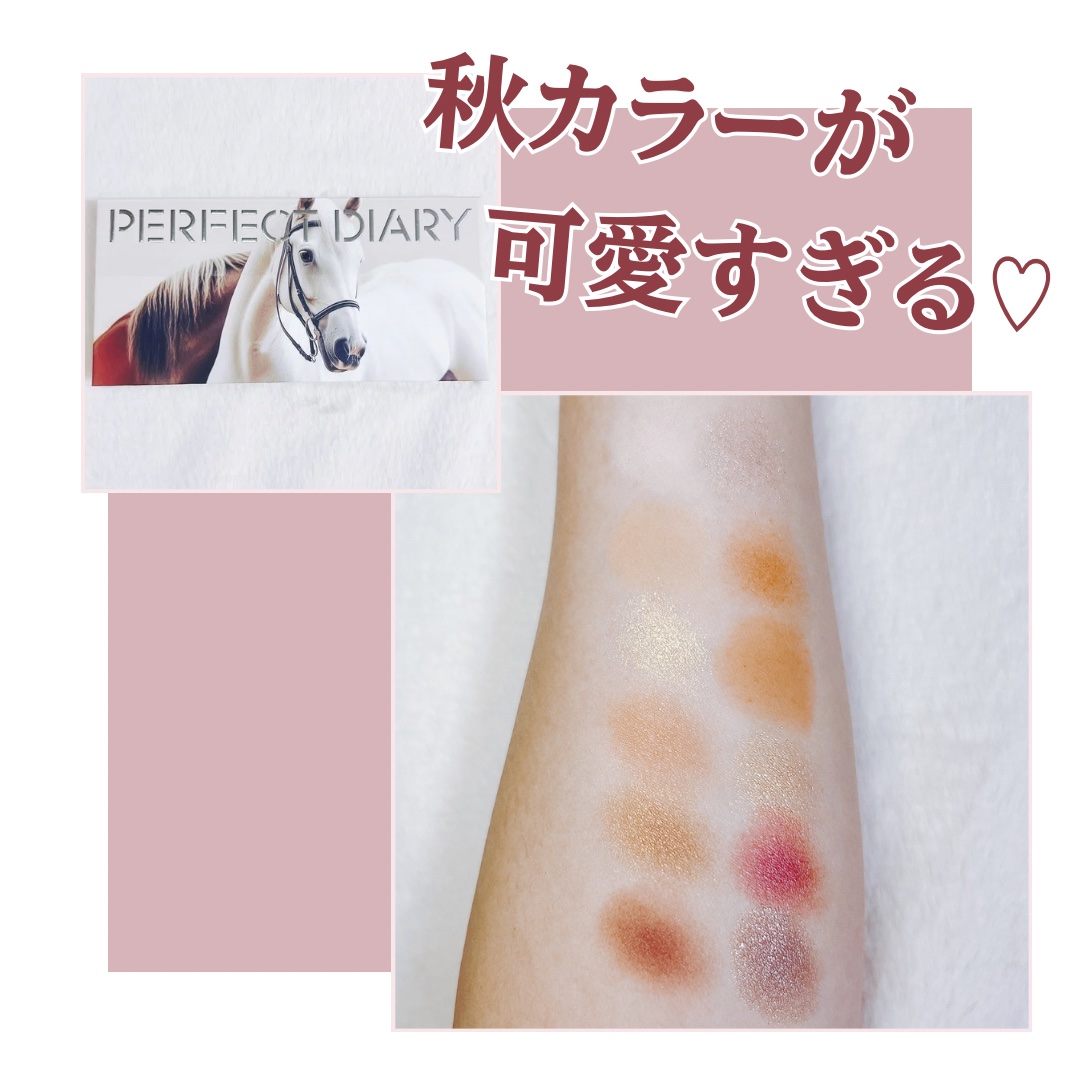 エクスプローラ12色 動物アイシャドウパレット オータムチェスナット/PERFECT DIARY/アイシャドウパレットを使ったクチコミ（2枚目）
