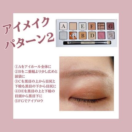 エクスプローラ12色 動物アイシャドウパレット/PERFECT DIARY/アイシャドウパレットを使ったクチコミ(4枚目)