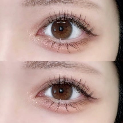 シャドウパレット/dasique/アイシャドウパレットを使ったクチコミ(1枚目)