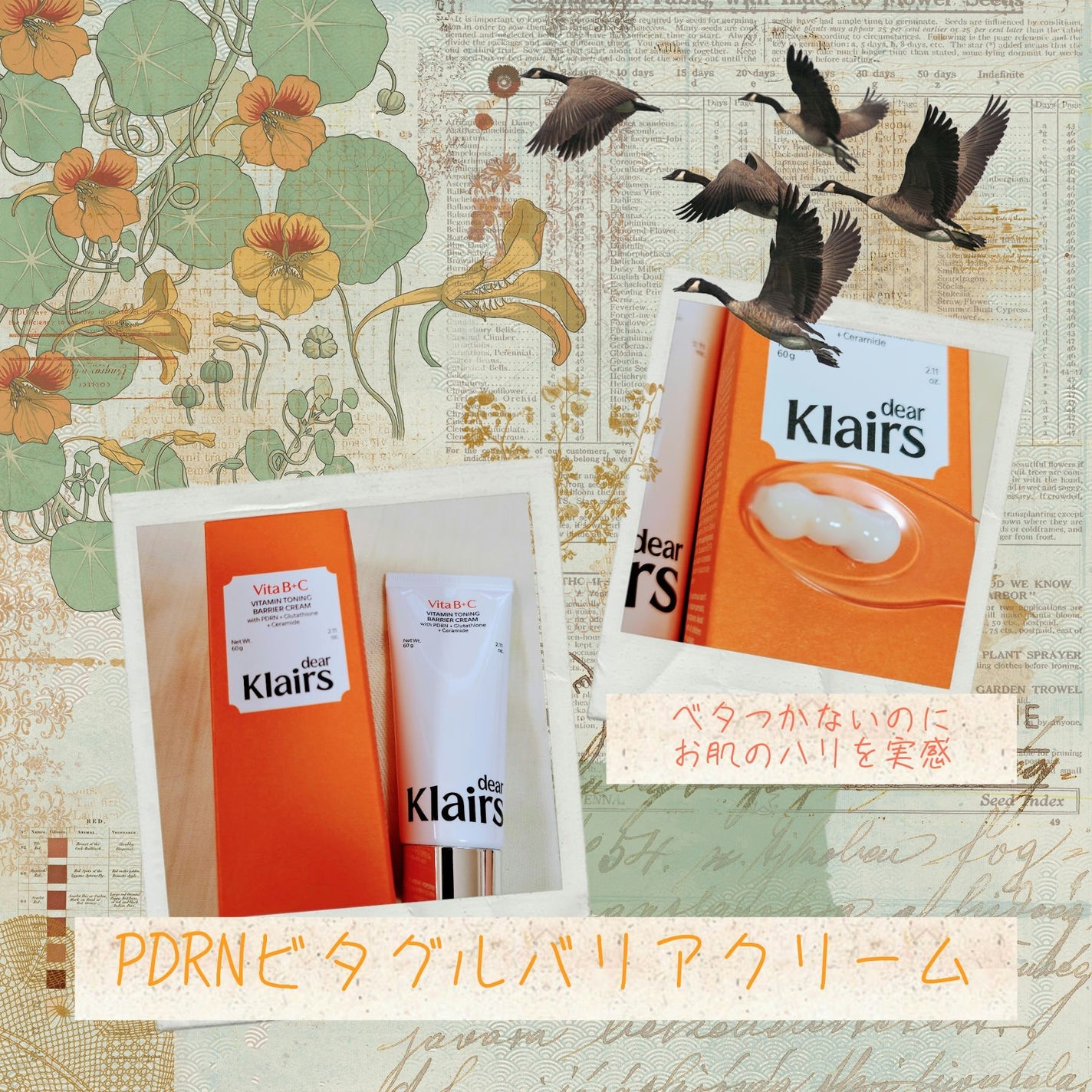 PDRN ビタグル バリアクリーム/Klairs/フェイスクリームを使ったクチコミ(1枚目)