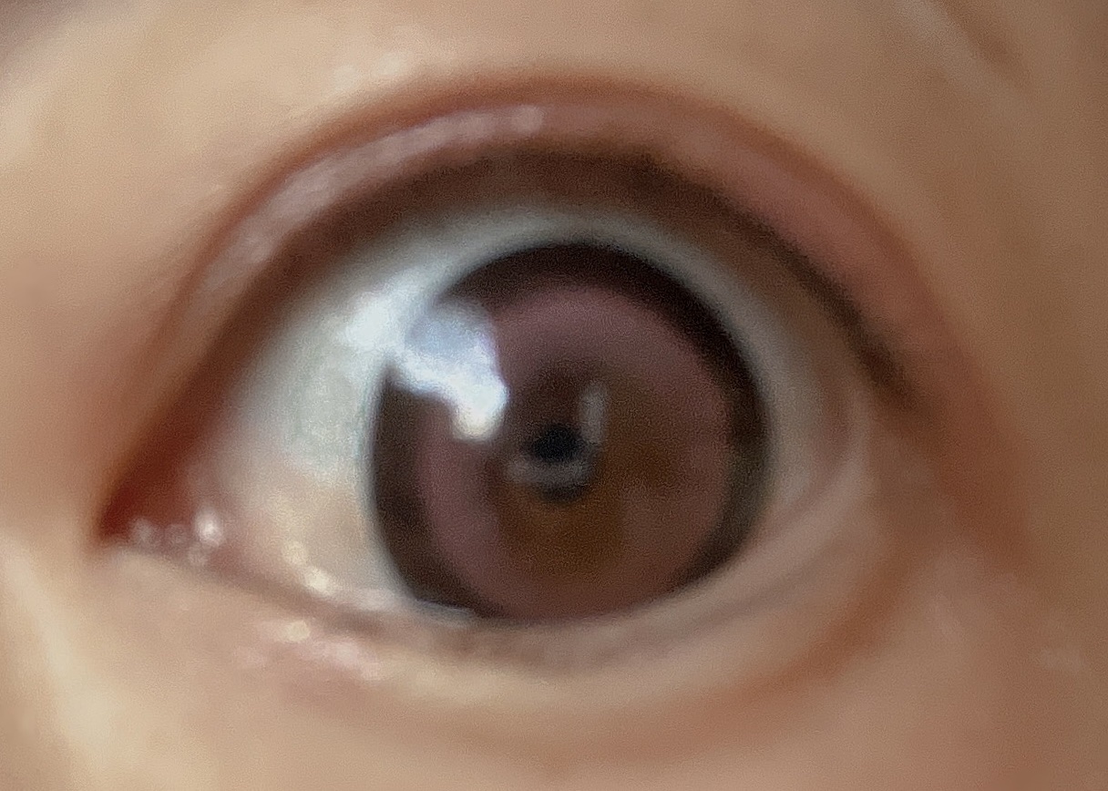 Dustity 依存ピンク/Dustity/ワンデー（１DAY）カラコンを使ったクチコミ（3枚目）