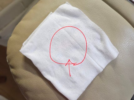 グレイシャーヴィーガンリップバーム/unleashia/リップバームを使ったクチコミ(3枚目)