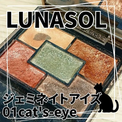 ジェミネイトアイズ N/LUNASOL/アイシャドウパレットを使ったクチコミ(1枚目)