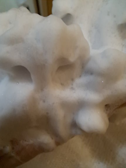 ディープクリア洗顔パウダー/ファンケル/洗顔パウダーを使ったクチコミ(5枚目)