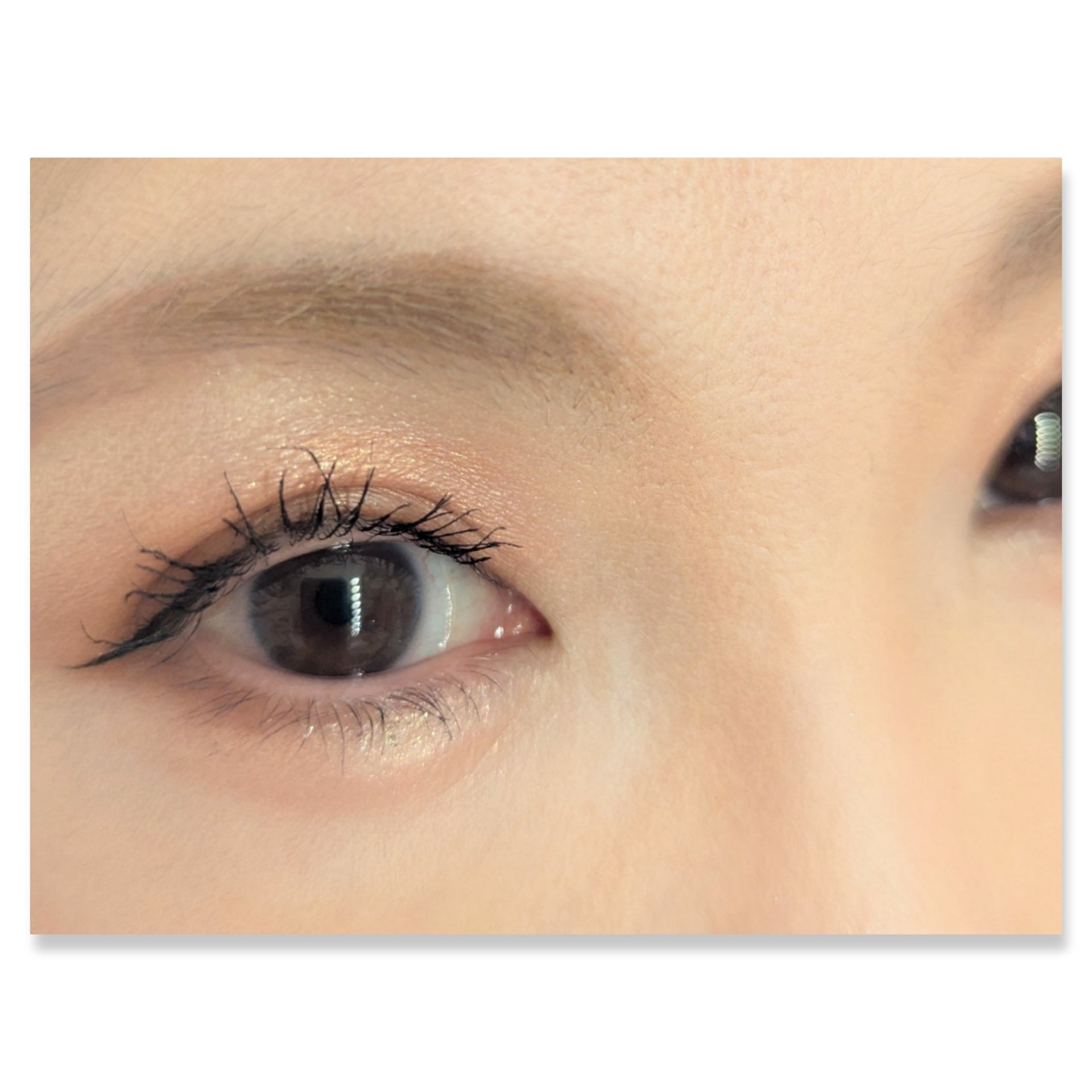 パノラマデザイン アイパレット/Visée/アイシャドウパレットを使ったクチコミ（2枚目）