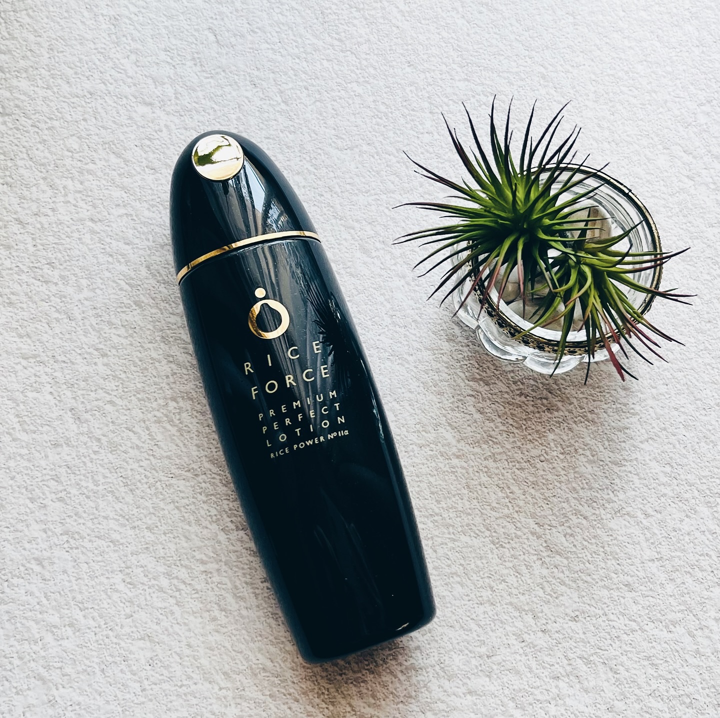 プレミアムパーフェクトローション/ライスフォース/化粧水を使ったクチコミ（1枚目）