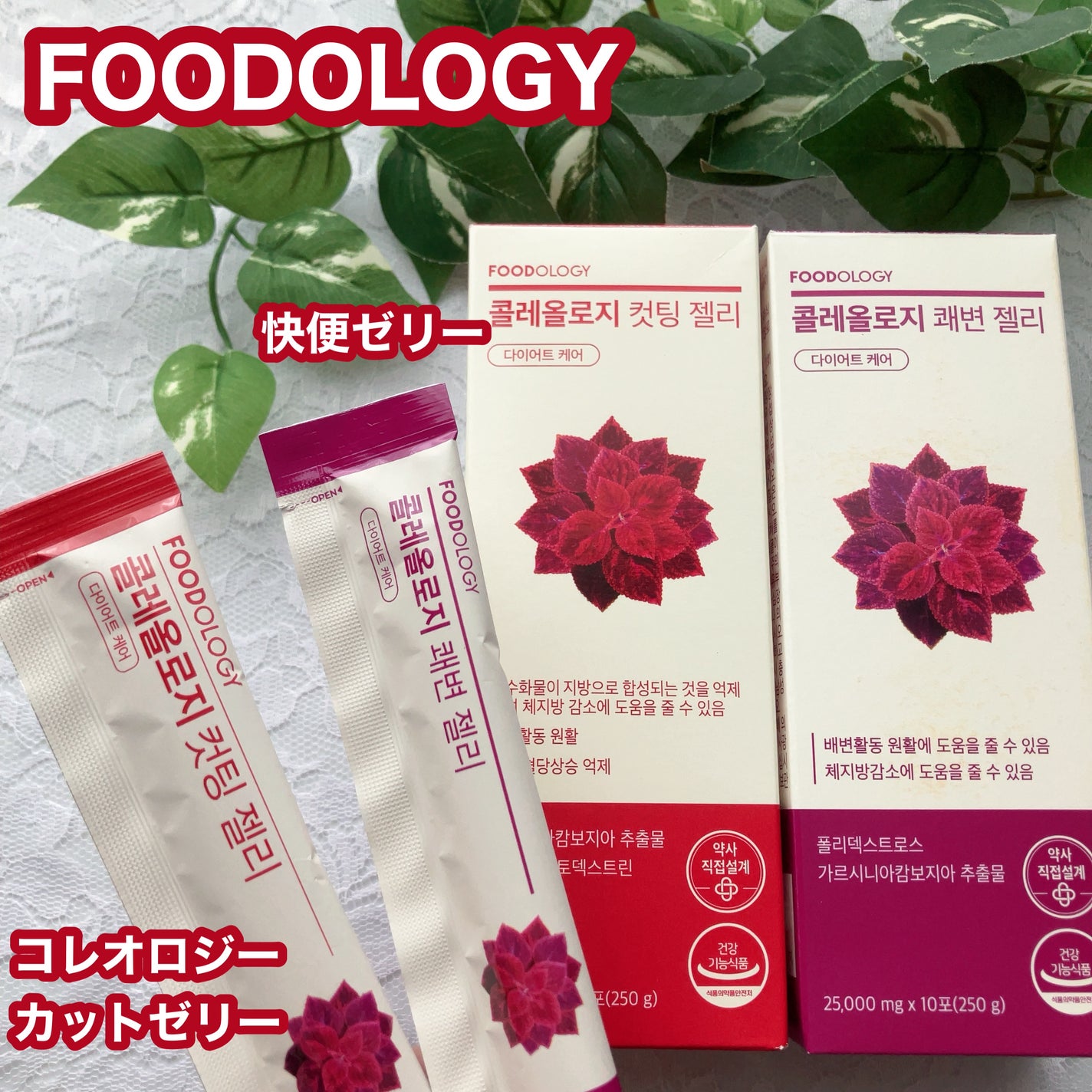 コレオロジーカットゼリー/FOODOLOGY/食品を使ったクチコミ(1枚目)