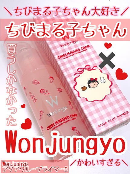 ウォンジョンヨ アクアグルー プライマー/Wonjungyo/化粧下地を使ったクチコミ(1枚目)