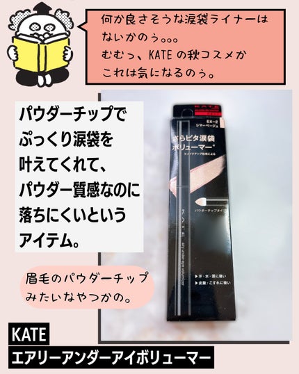 ケイト エアリーアンダーアイボリューマー/KATE/スティックアイシャドウを使ったクチコミ(2枚目)
