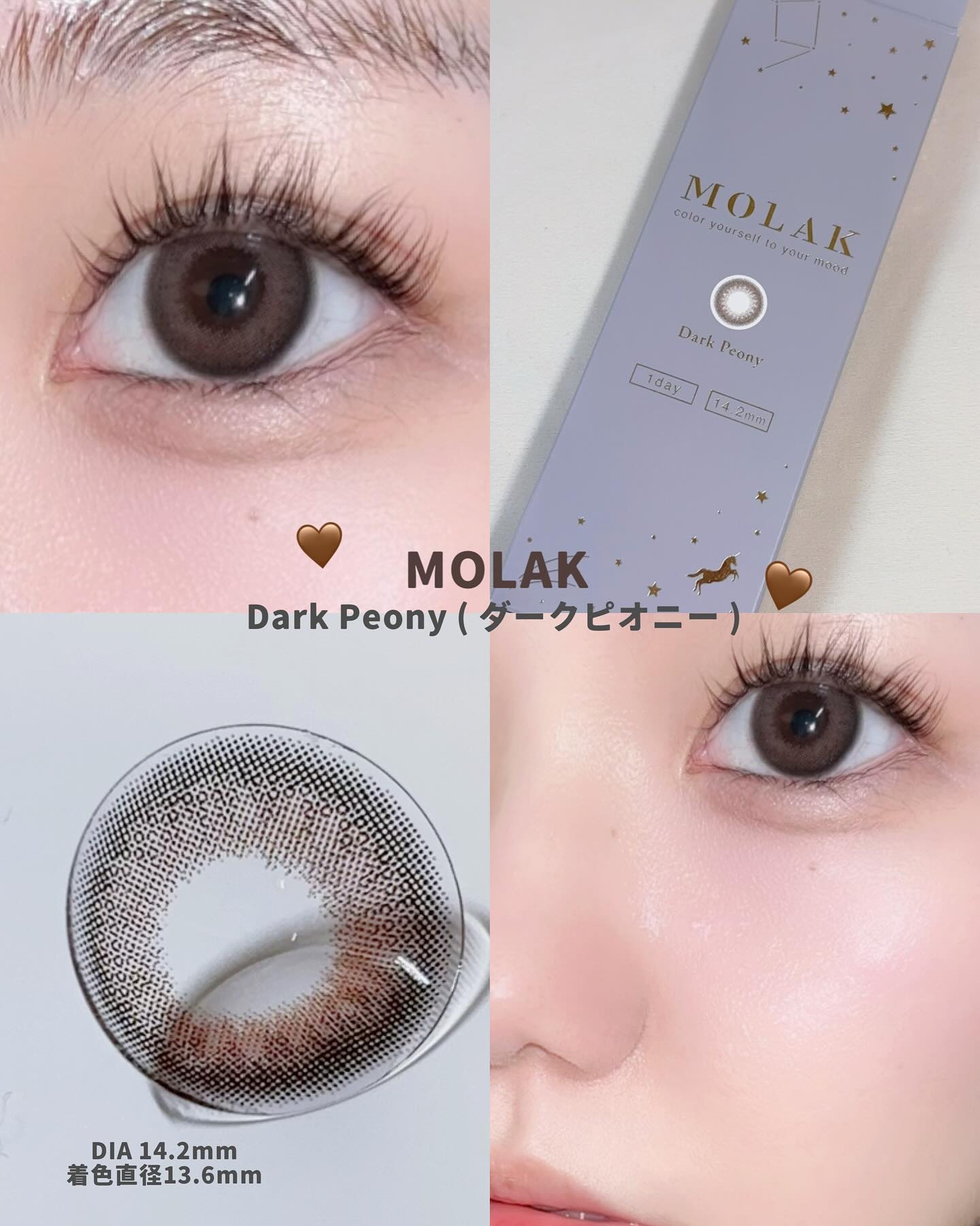 MOLAK 1day ダークピオニー/MOLAK/ワンデー（１DAY）カラコンを使ったクチコミ（1枚目）