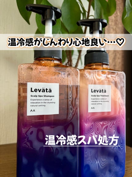 レバタ スカルプスパ シャンプー/トリートメント/Levätä/市販シャンプーを使ったクチコミ(1枚目)