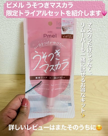 ピメル うそつきマスカラ/pdc/マスカラを使ったクチコミ(2枚目)
