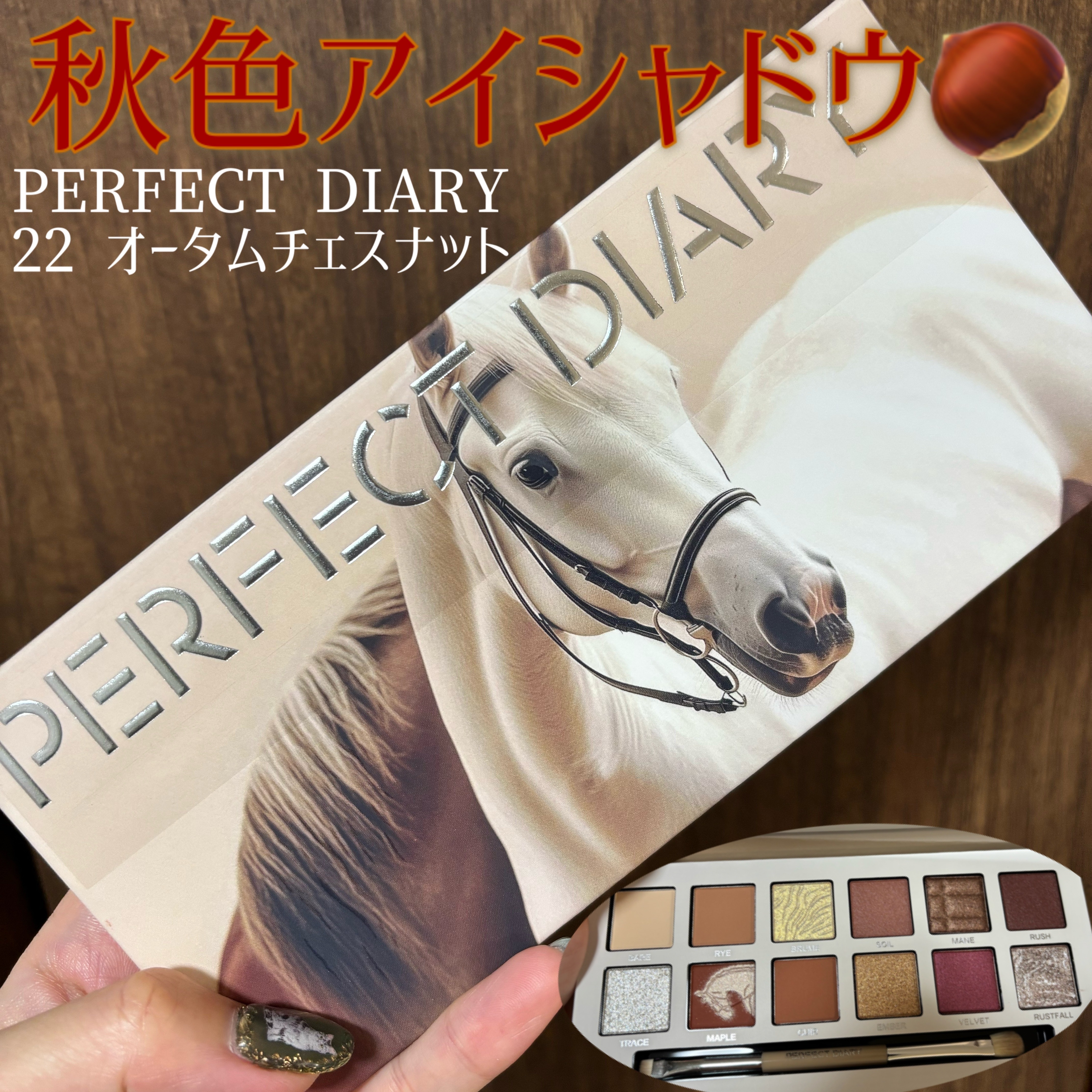 エクスプローラ12色 動物アイシャドウパレット オータムチェスナット/PERFECT DIARY/アイシャドウパレットを使ったクチコミ（1枚目）