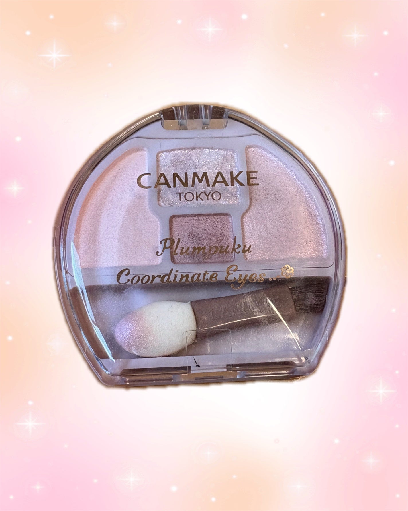 プランぷくコーデアイズ/キャンメイク/パウダーアイシャドウを使ったクチコミ(1枚目)