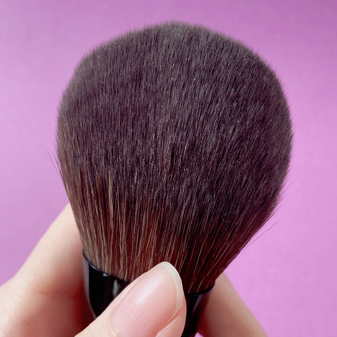 パウダーブラシEX/ロージーローザ/メイクブラシを使ったクチコミ(6枚目)