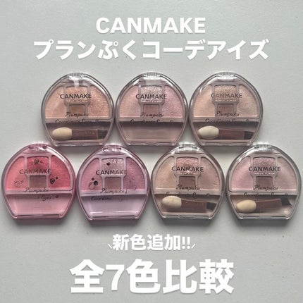 プランぷくコーデアイズ/キャンメイク/パウダーアイシャドウを使ったクチコミ(1枚目)