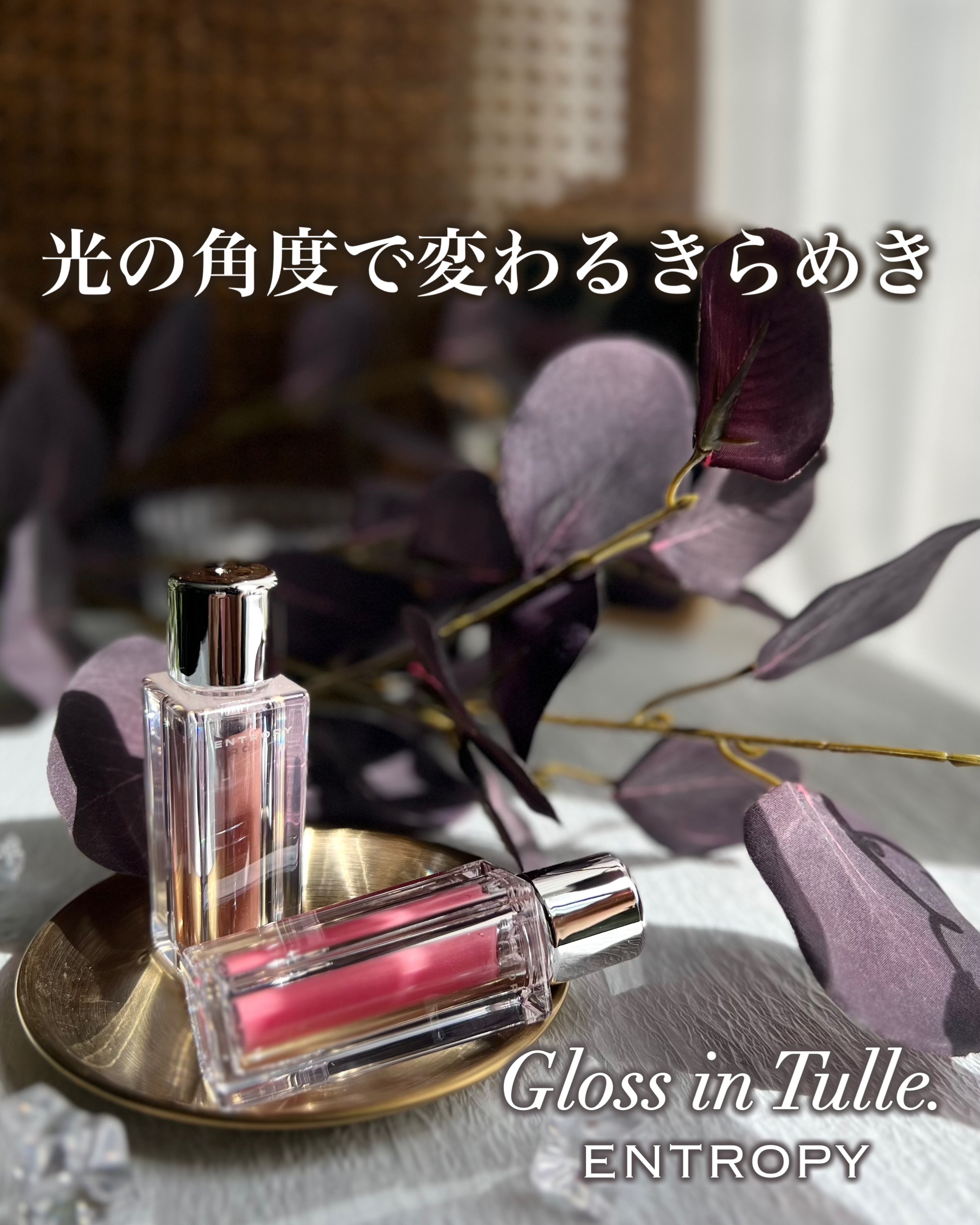 チュールグロス/ENTROPY/リップグロスを使ったクチコミ（1枚目）