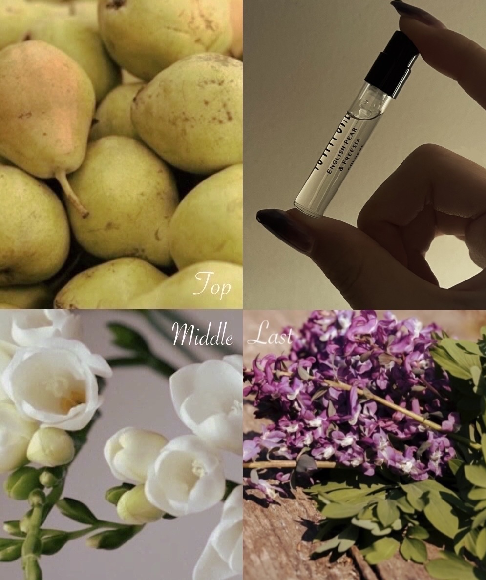 コロン ディスカバリー コレクション  /Jo MALONE LONDON/香水(その他)を使ったクチコミ（2枚目）