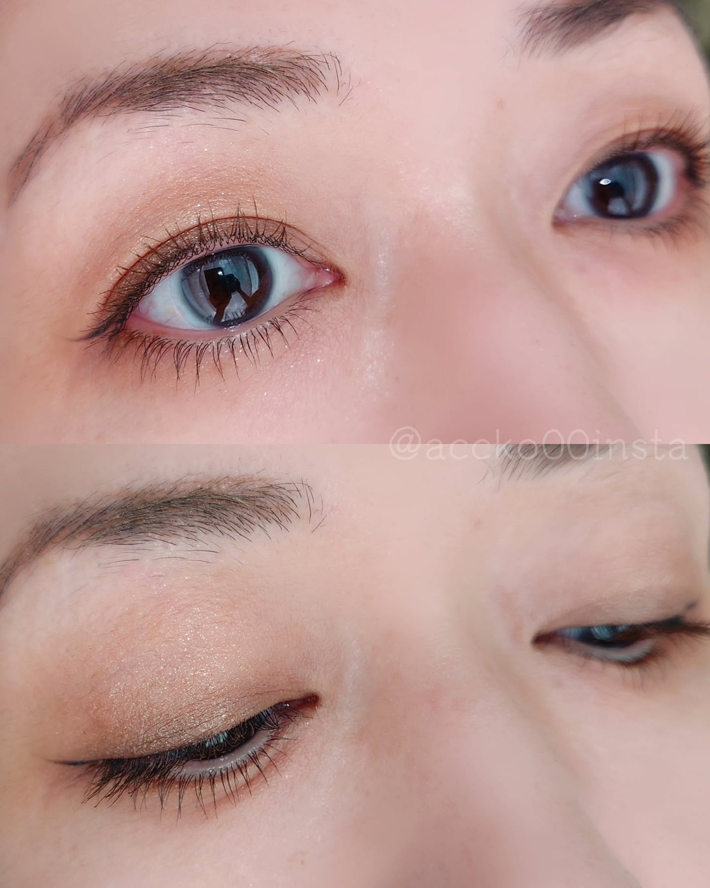 シグニチャー カラー アイズ/SUQQU/アイシャドウパレットを使ったクチコミ(4枚目)