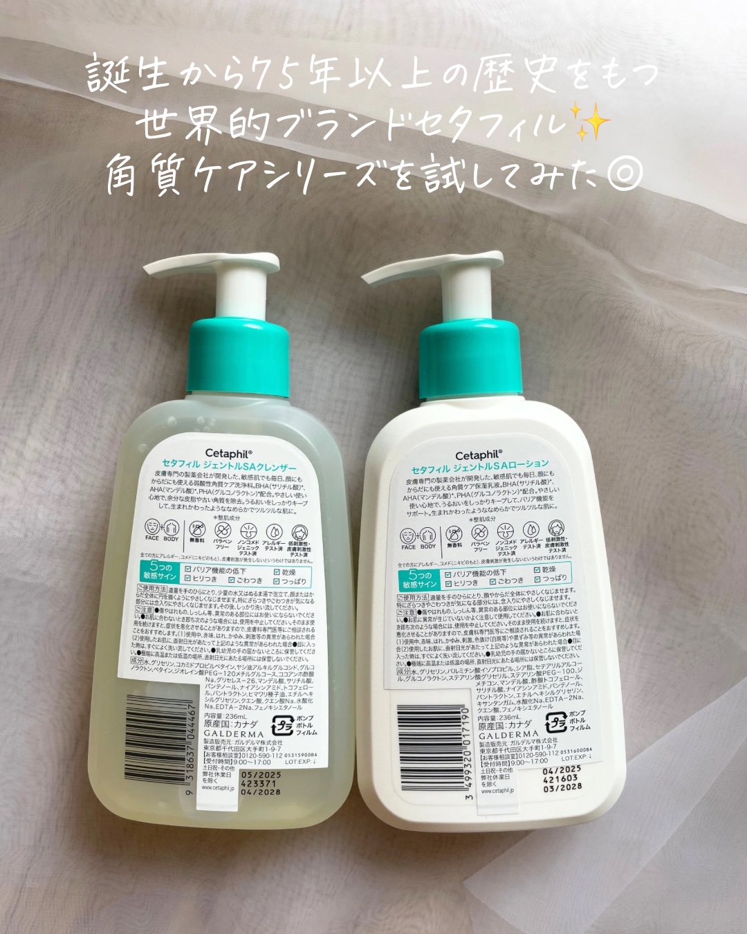 セタフィル　ジェントルSAクレンザー/セタフィル/ピーリングを使ったクチコミ（2枚目）