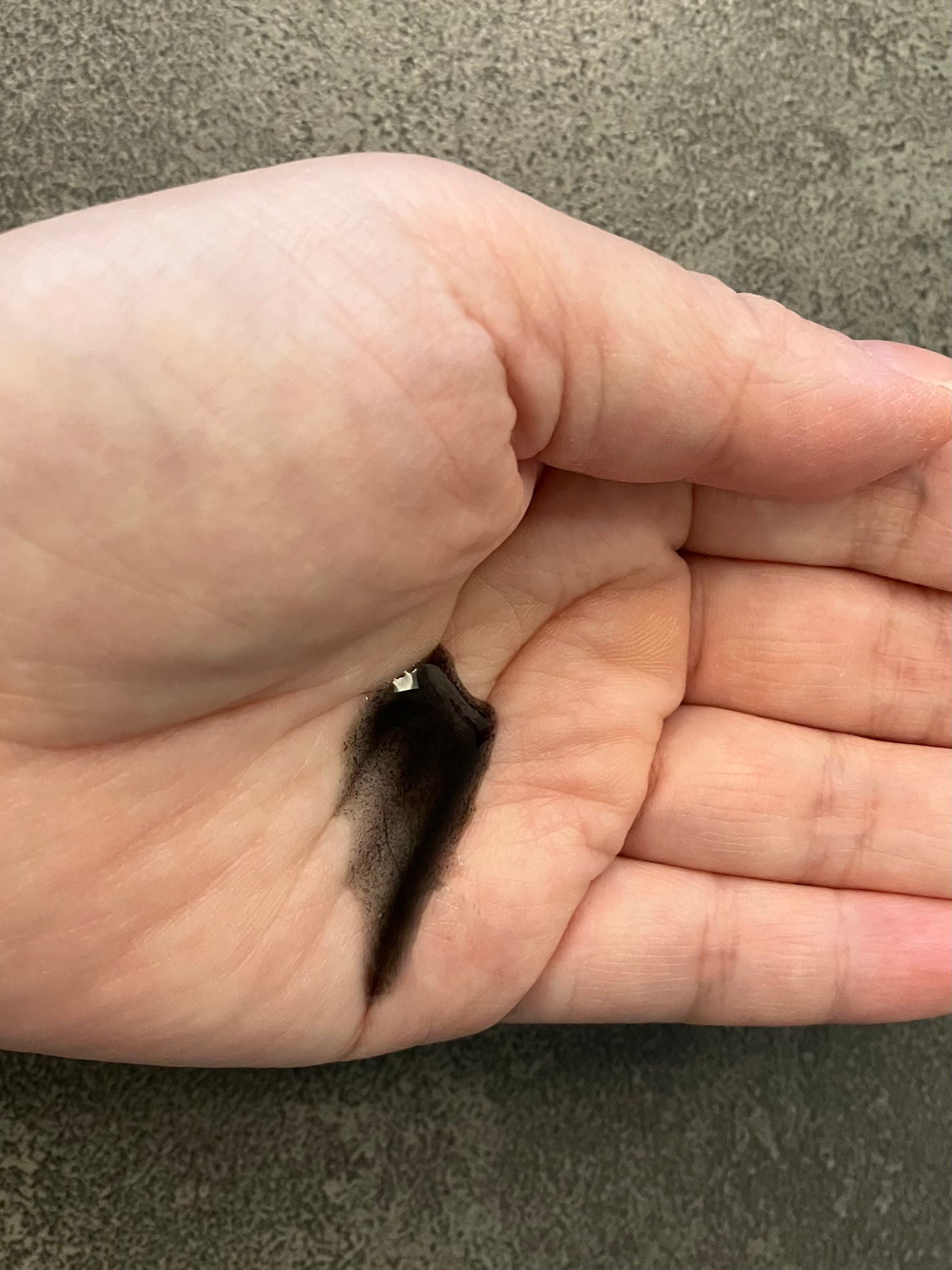 SILK THE RICH スカルプ&リペア シャンプー・トリートメント/SILK THE RICH/市販シャンプーを使ったクチコミ(2枚目)