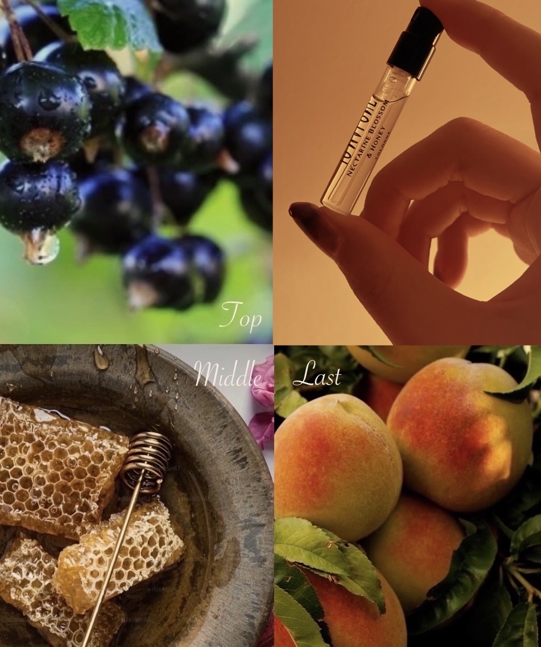 コロン ディスカバリー コレクション  /Jo MALONE LONDON/香水(その他)を使ったクチコミ（3枚目）