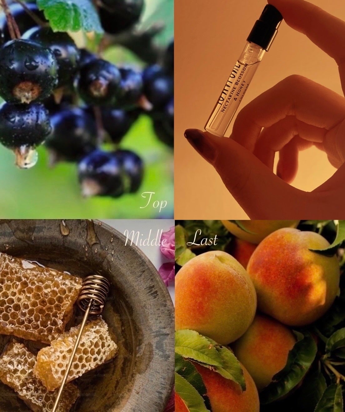 コロン ディスカバリー コレクション /Jo MALONE LONDON/香水(その他)を使ったクチコミ(3枚目)