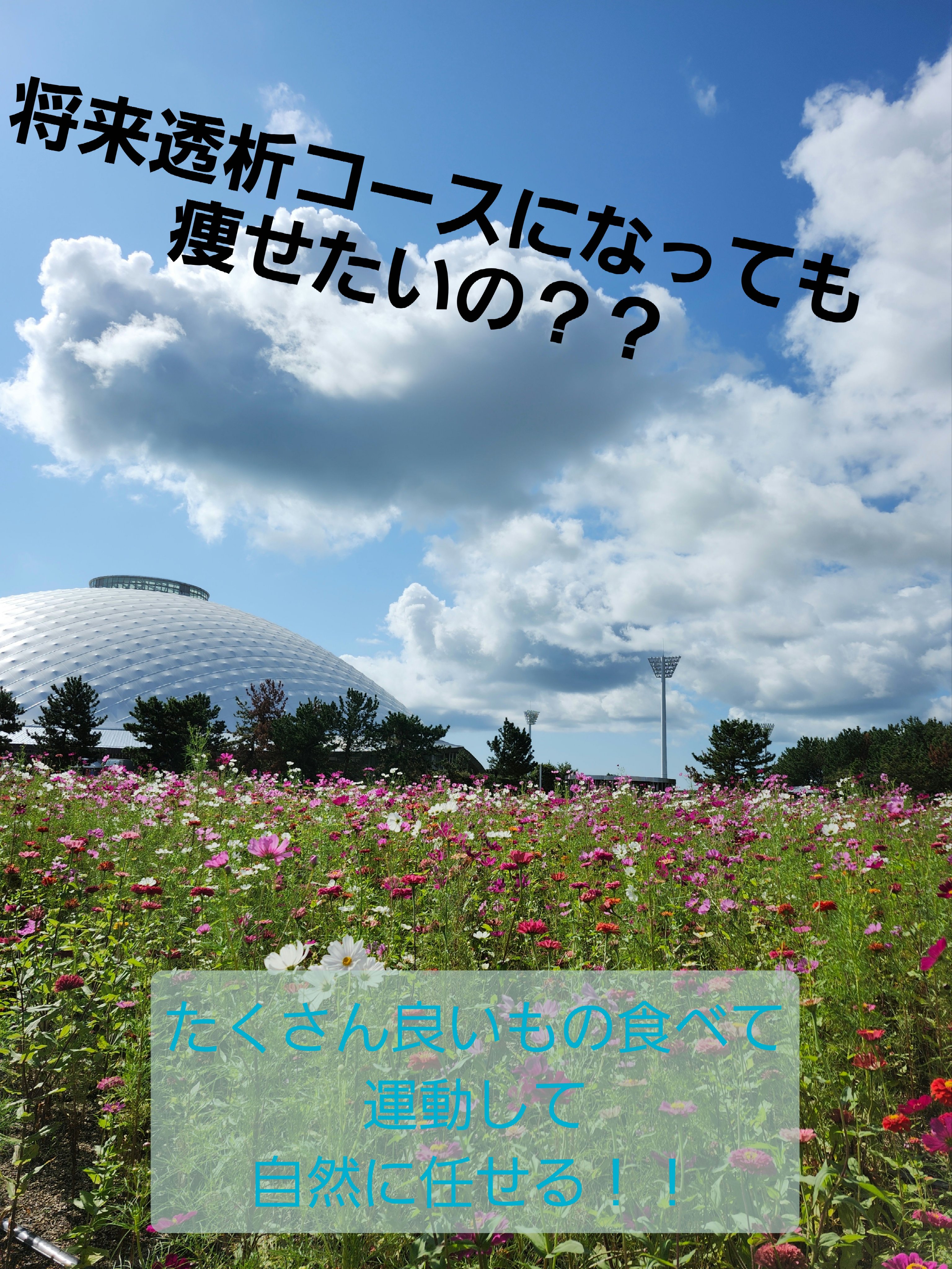 🌿わたくし。。医療ダイエットはしません🌿🌿💦

YouTuberマリリンさんの動画でもありましたが、過剰なルッキズムはメンタルヘルスに悪いよ
身体にも悪い
本当に素敵な動画だと思います

韓国コスメやらの流行りはいいにしても、ルッキ