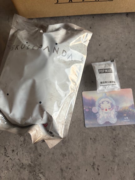 SKULLPANDA L‘impressionnismeシリーズぬいぐるみ ペンダント /POP MART/その他を使ったクチコミ(3枚目)