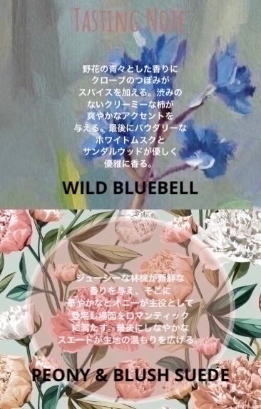 コロン ディスカバリー コレクション /Jo MALONE LONDON/香水(その他)を使ったクチコミ(8枚目)