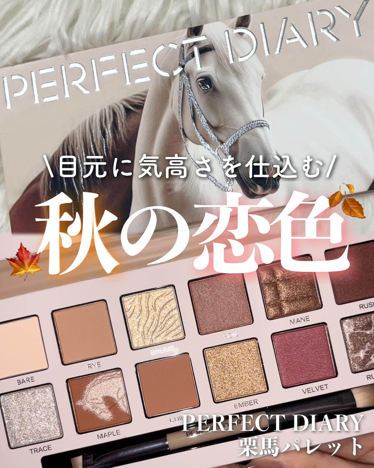 エクスプローラ12色 動物アイシャドウパレット オータムチェスナット/PERFECT DIARY/アイシャドウパレットを使ったクチコミ（1枚目）