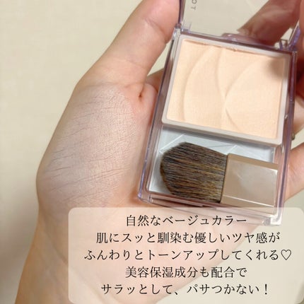 トーンフィルターハイライト/CEZANNE/パウダーハイライトを使ったクチコミ(4枚目)