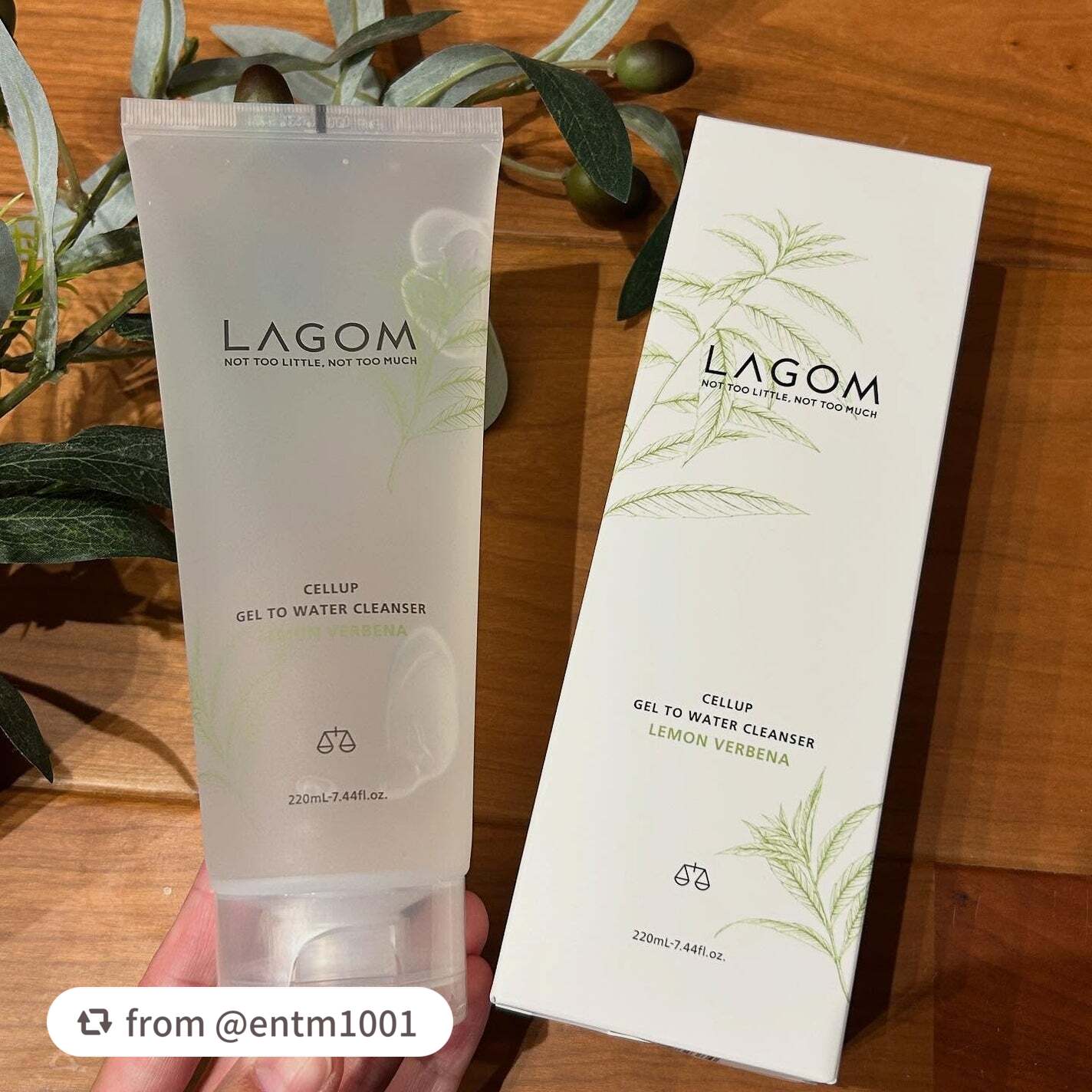 ラゴム ジェルトゥウォーター クレンザー(LV)(朝用洗顔)/LAGOM /その他洗顔料を使ったクチコミ(6枚目)