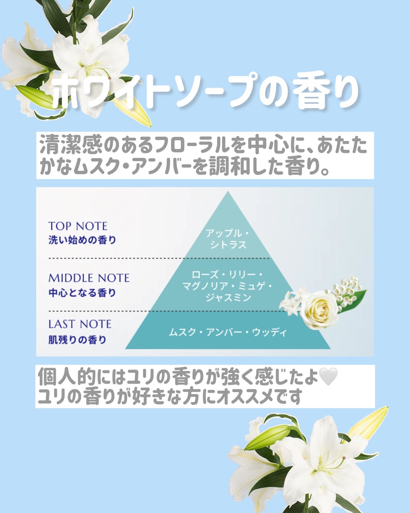 ããŠã³ã·ã¢ ããã£ãœãŒã ãã¯ã€ããœãŒãã®éŠã/Bouncia/ããã£ãœãŒãã䜿ã£ãã¯ãã³ãïŒ3æç®ïŒ