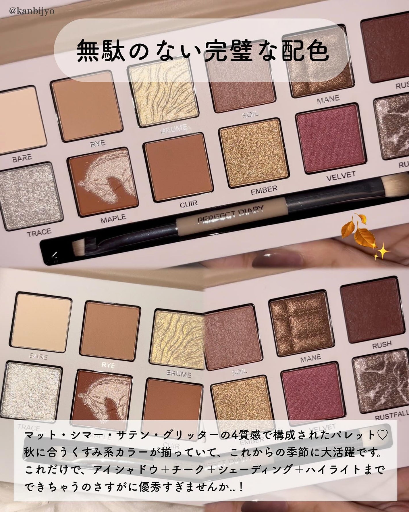 エクスプローラ12色 動物アイシャドウパレット/PERFECT DIARY/アイシャドウパレットを使ったクチコミ(3枚目)