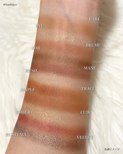 エクスプローラ12色 動物アイシャドウパレット 22 オータムチェスナット/PERFECT DIARY/アイシャドウパレットの画像