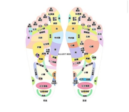 ゼラニウム&オレンジ ハンドクリーム/ニールズヤード レメディーズ/ハンドクリームを使ったクチコミ(4枚目)
