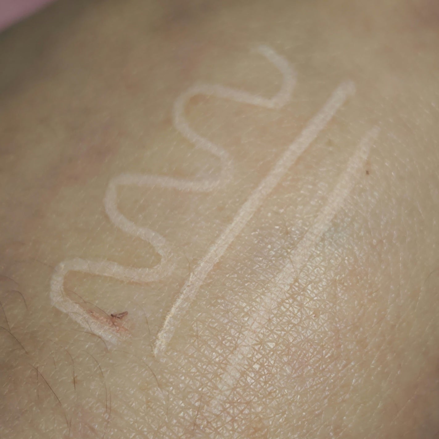 &. 涙袋ライナー/DAISO/ジェルアイライナーを使ったクチコミ(3枚目)